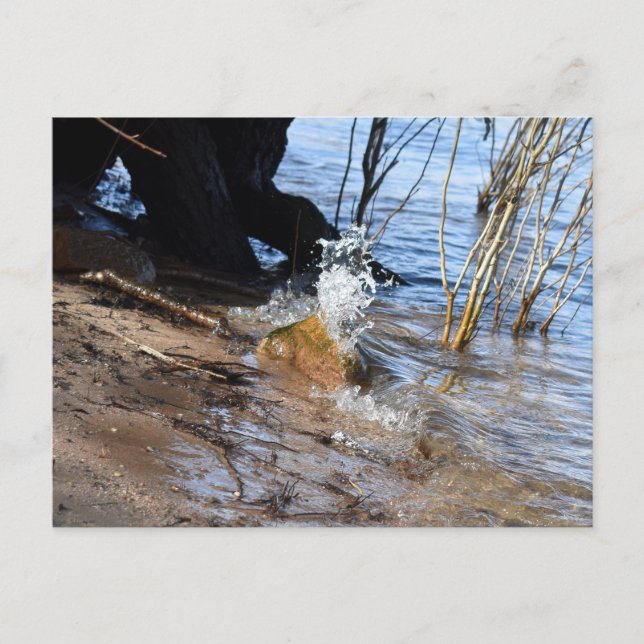 Postal Rompedores, vida en la playa (Anverso)