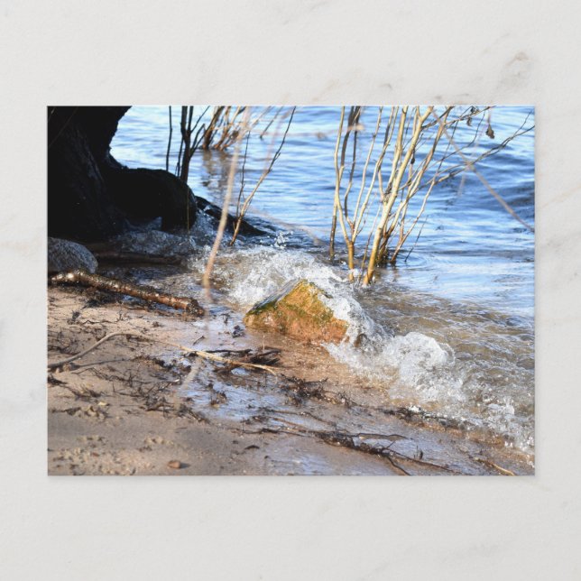 Postal Rompedores, vida en la playa (Anverso)