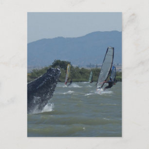Postal Rompiendo ballenas jorobadas por los windsurfistas