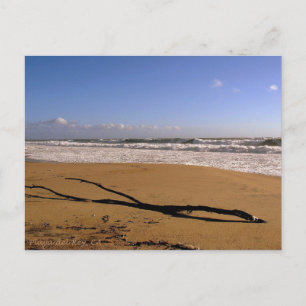 Postal Rompientes de Playa del Rey - Mike Izzo