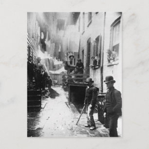 Postal Roost New York 1888 de Bandit - Foto de época