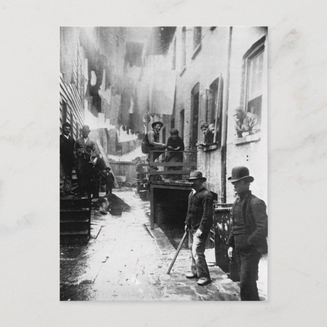 Postal Roost New York 1888 de Bandit - Foto de época (Anverso)