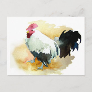 Postal Rooster con actitud