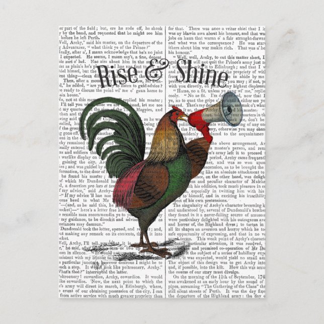 Postal Rooster con Loudhailer 2 (Anverso)