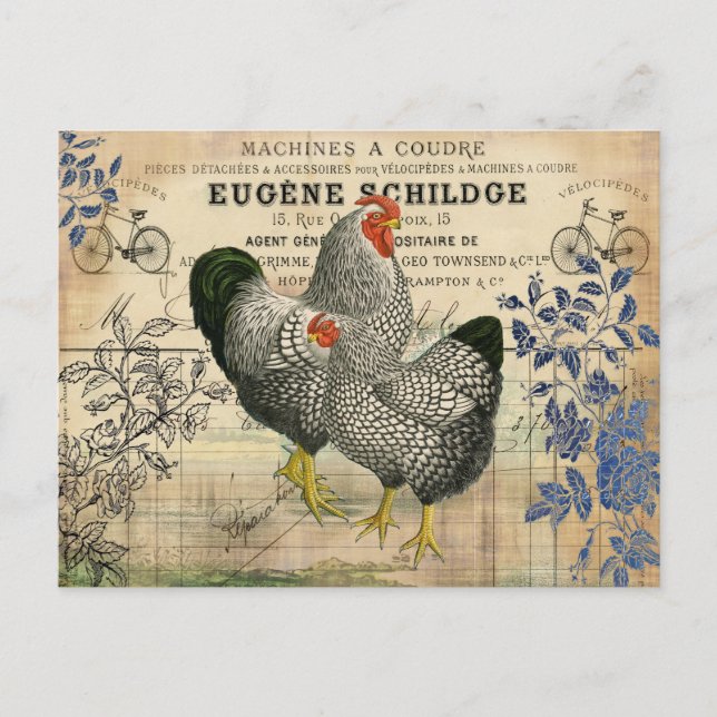 Postal Rooster de época y Hen Ephemera (Anverso)