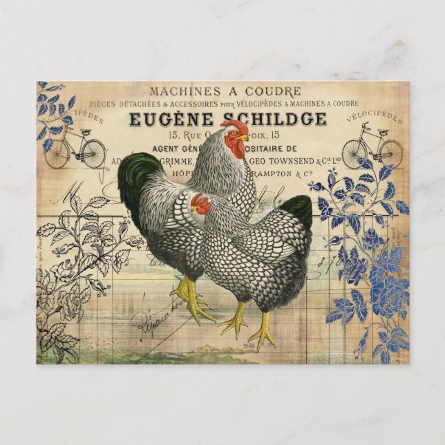 Postal Rooster de época y Hen Ephemera (Anverso)