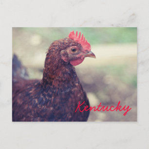 Postal Rooster de JerseyFawn