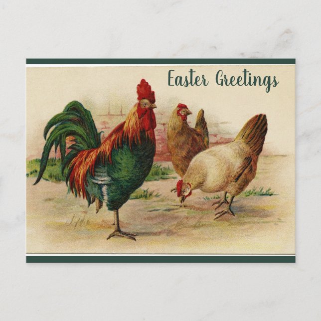 Postal Rooster editable y Semana Santa de Hens (Anverso)