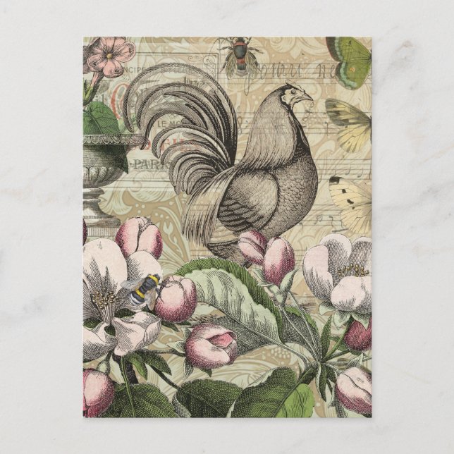 Postal Rooster Garden Flower Butfly Art (Anverso)