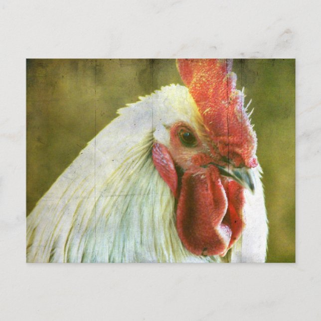 Postal Rooster Grunge (Anverso)