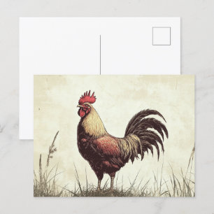 Postal Rooster Ilustracion Vintage Tone