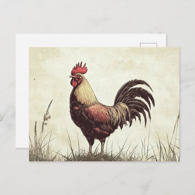 Postal Rooster Ilustracion Vintage Tone (Anverso / Reverso)