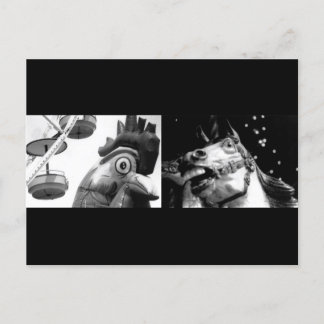 Postal Rooster Loco, conoce a Crazy Horse