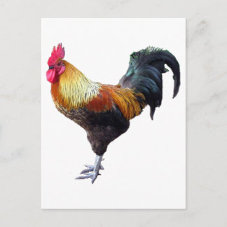 Postal Rooster Plain