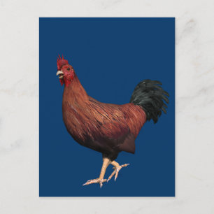 Postal Rooster Rojo