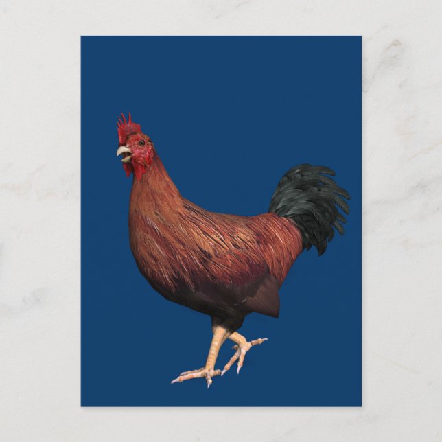 Postal Rooster Rojo (Anverso)