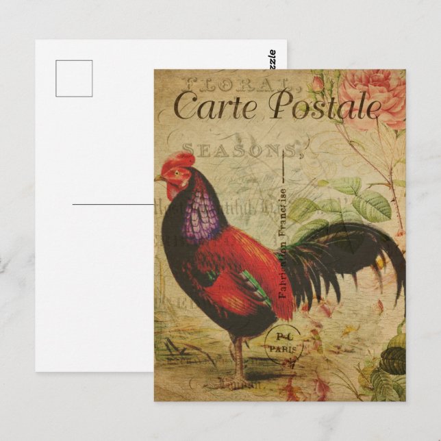 Postal Rooster Rojo Vintage (Anverso / Reverso)