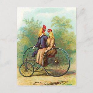 Postal Rooster Romantic Bicicleta Date