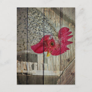 Postal Rooster Rustic Chicken Coop Barn Board
