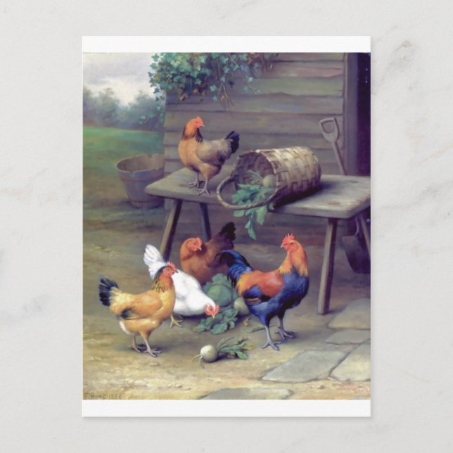 Postal Rooster Turnip Basket Hens (Anverso)