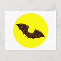 Ropa ledermaus