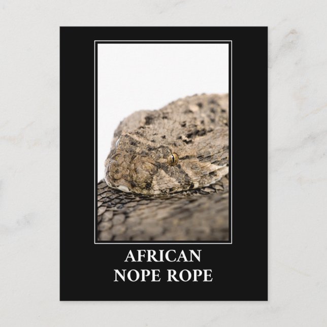 Postal Rope africano de no-pepitas - Peligro de serpiente (Anverso)
