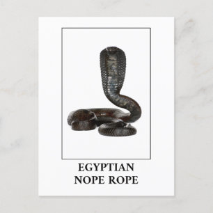 Postal Rope egipcio Nope - Peligro de serpiente Cobra