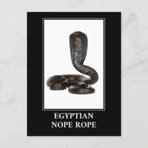Postal Rope egipcio Nope - Peligro de serpiente Cobra
