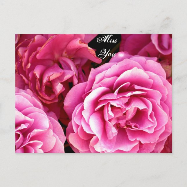 POSTAL ROSA_ (Anverso)