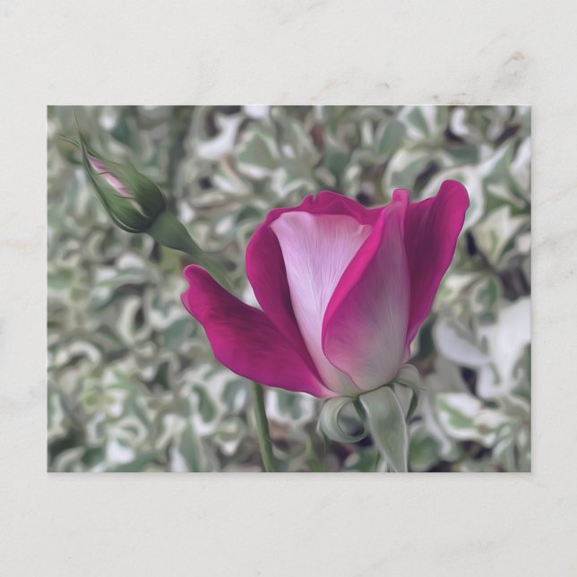 Postal Rosa (Anverso)