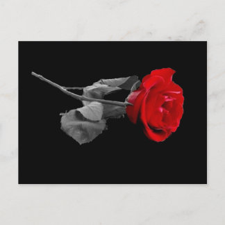 Postal Rosa