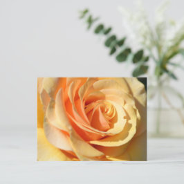 Postal Rosa amarilla