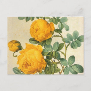 Postal rosa amarilla de arte vintage