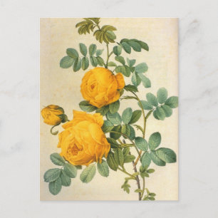 Postal rosa amarilla de arte vintage