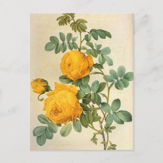 Postal rosa amarilla de arte vintage (Anverso)