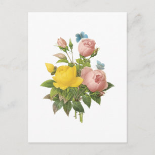Postal Rosa amarilla persa, rosa de té por Redouté