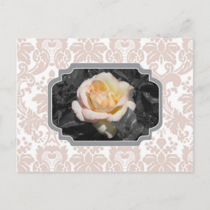 Postal Rosa amarillo Damask Notecard
