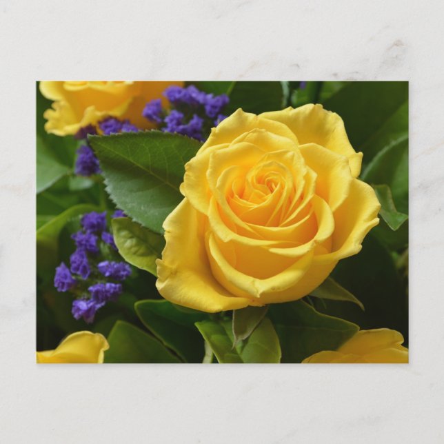 Postal Rosa amarillo floral y flores moradas Hola amor (Anverso)
