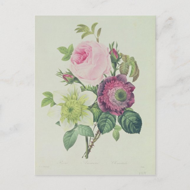 Postal Rosa, anémona y clematida (Anverso)