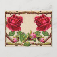 Rosa antigua vintage rústica victoriana clásica an