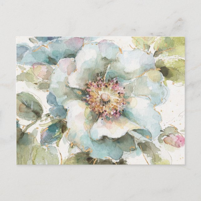 Postal Rosa azul (Anverso)