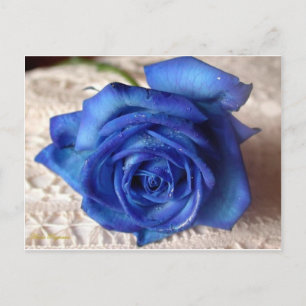 Postal Rosa azul