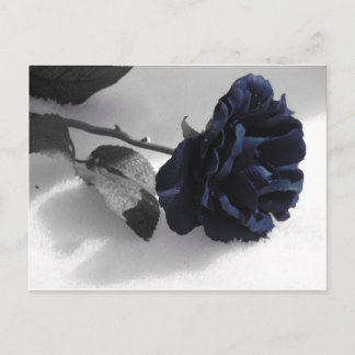Postal Rosa azul
