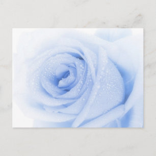 Postal rosa azul