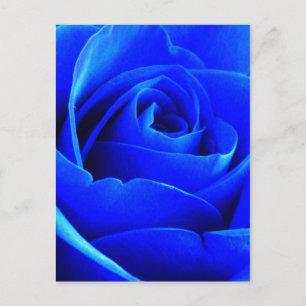 Postal Rosa azul