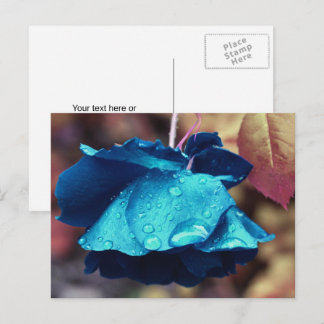 Postal Rosa Azul Flor Personalizada