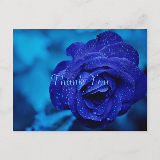 Postal Rosa Azul Gracias (Anverso)