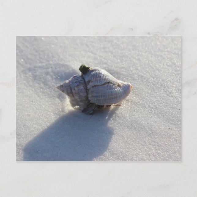 Postal Rosa bebe (Anverso)