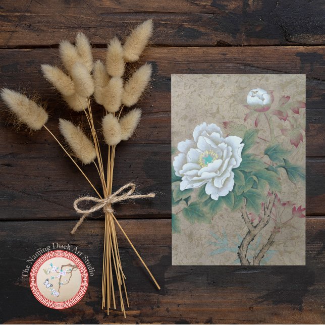 Postal Rosa blanca (Subido por el creador)