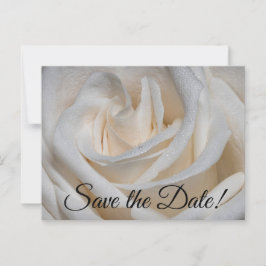 Postal Rosa blanca 7127 con dew